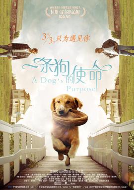 国产精品美女久久