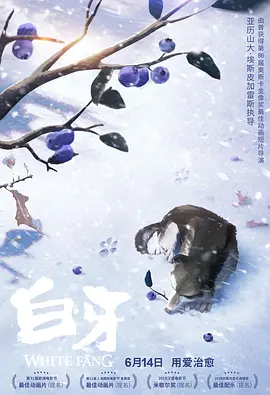 亚洲第一导航