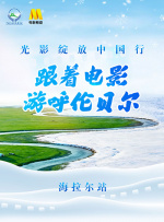 碰91精品国产91久久婷婷
