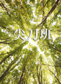 高h道具机器调教性玩具
