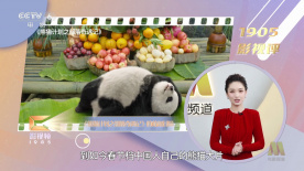 护士的俱乐部